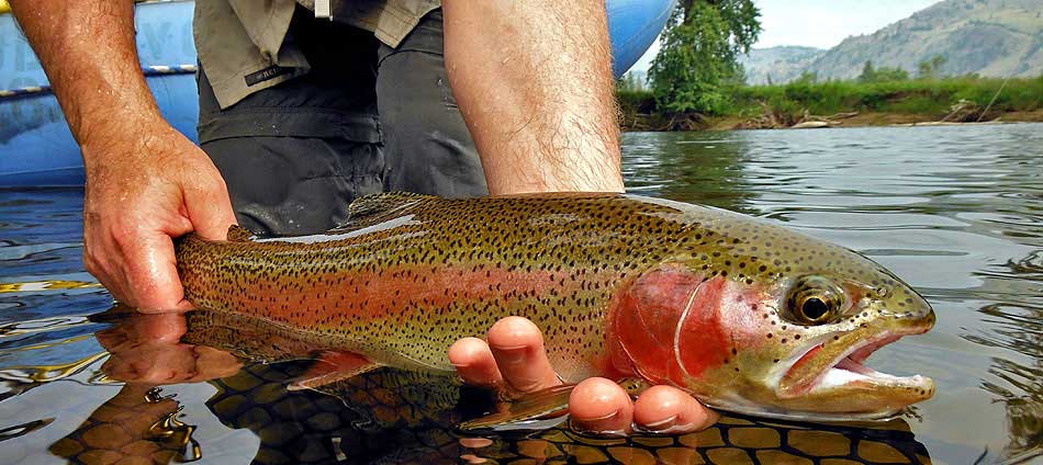 kettle river guided fishing