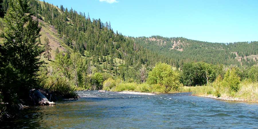 naches river